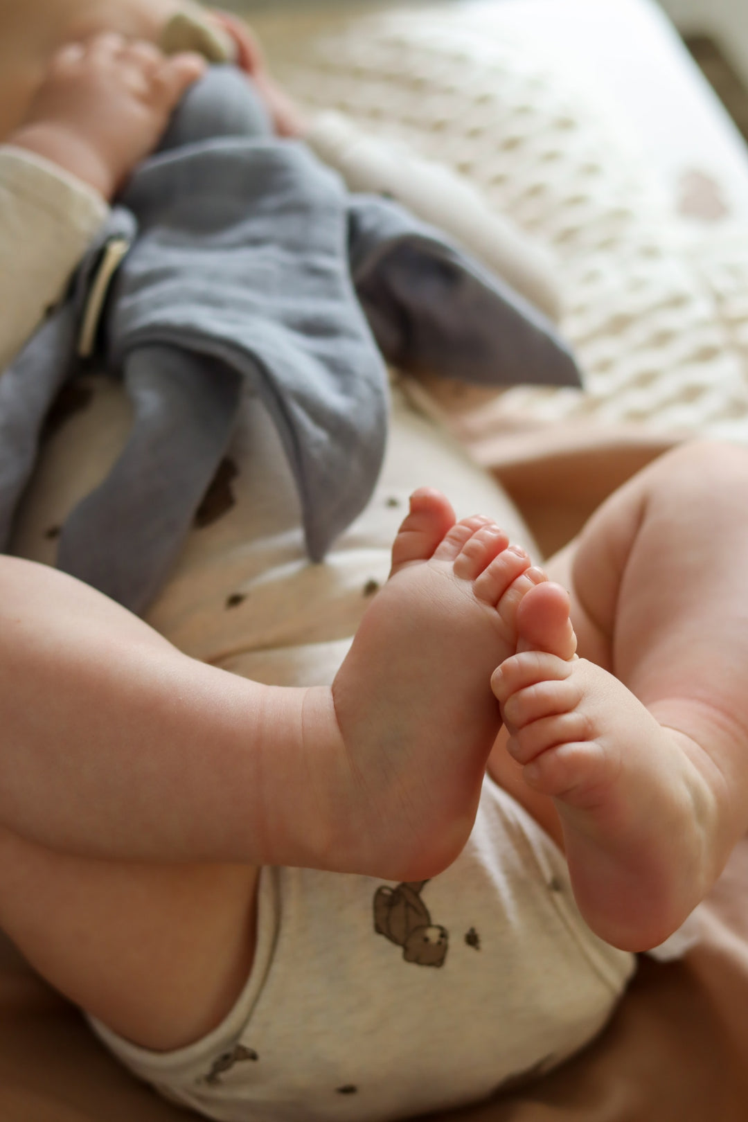 That's Mine Mika bodystocking - Bees and bears - 95% Organic cotton / 5% Elastane Buy Tøj||Bodystockings||Undertøj||Alle||Favoritter||personale||Bees and bears||Basics||Influencer choice||alt minus sløjfe||NOOS||mette-sale here.