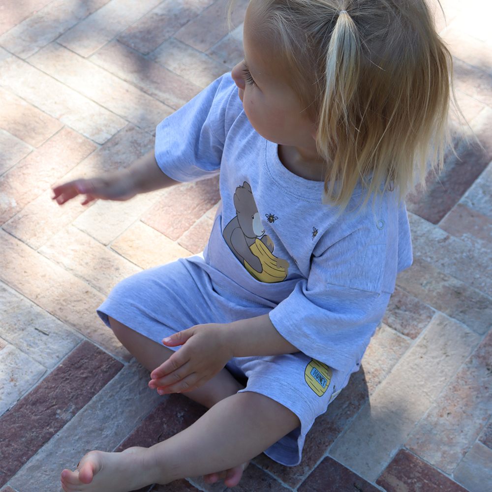 Lucas set - Bees and bears