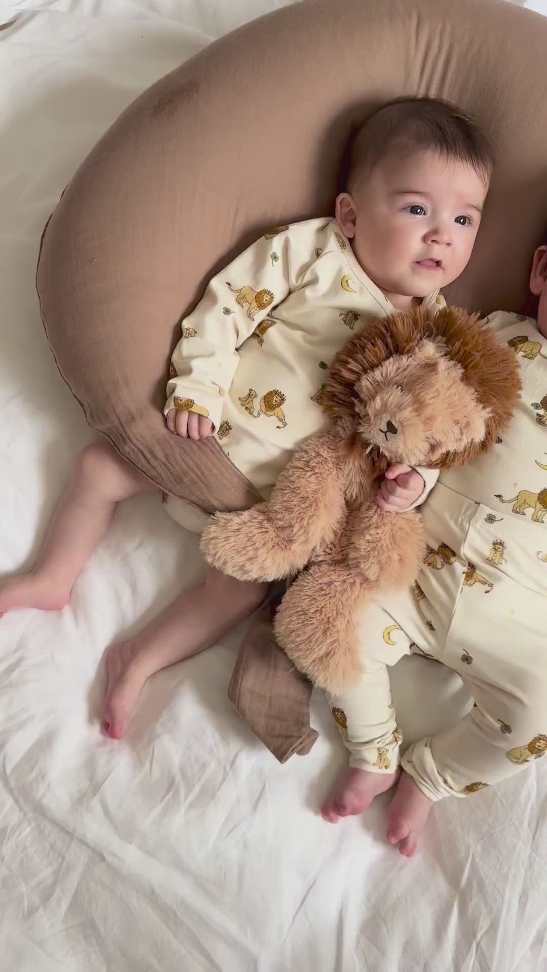 Houston tyngdebamse lille - Lion